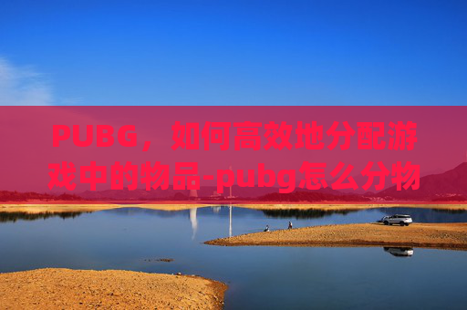 PUBG，如何高效地分配游戏中的物品-pubg怎么分物品数量