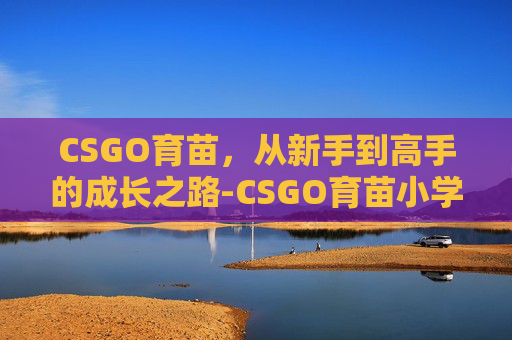 CSGO育苗，从新手到高手的成长之路-CSGO育苗小学小曲