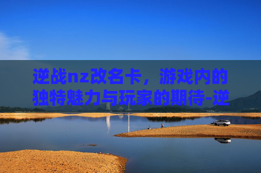 逆战nz改名卡，游戏内的独特魅力与玩家的期待-逆战改名卡怎么白嫖