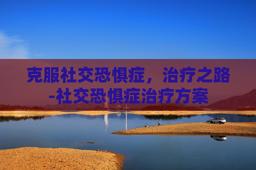 克服社交恐惧症，治疗之路-社交恐惧症治疗方案