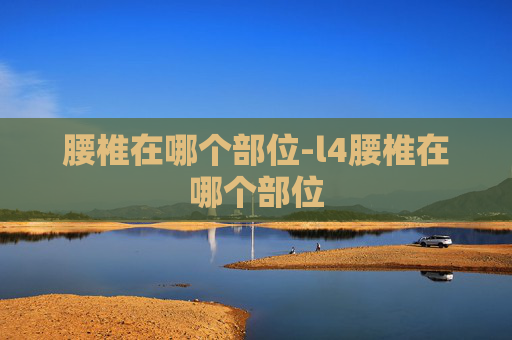 腰椎在哪个部位-l4腰椎在哪个部位