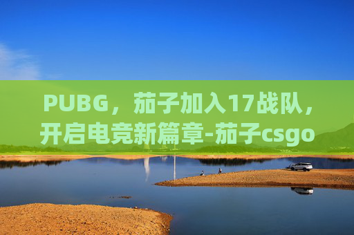 PUBG，茄子加入17战队，开启电竞新篇章-茄子csgo