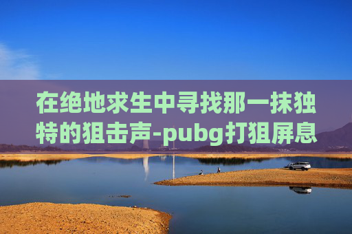 在绝地求生中寻找那一抹独特的狙击声-pubg打狙屏息吗