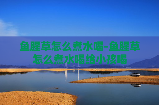 鱼腥草怎么煮水喝-鱼腥草怎么煮水喝给小孩喝