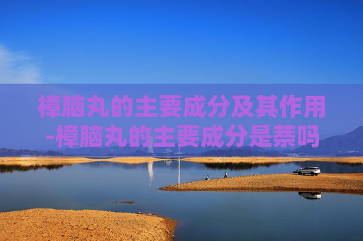 樟脑丸的主要成分及其作用-樟脑丸的主要成分是萘吗