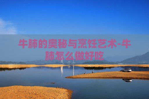 牛肺的奥秘与烹饪艺术-牛肺怎么做好吃