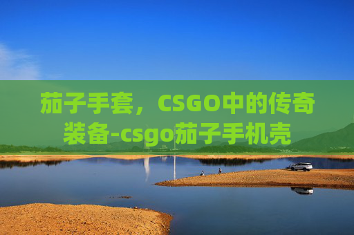 茄子手套，CSGO中的传奇装备-csgo茄子手机壳