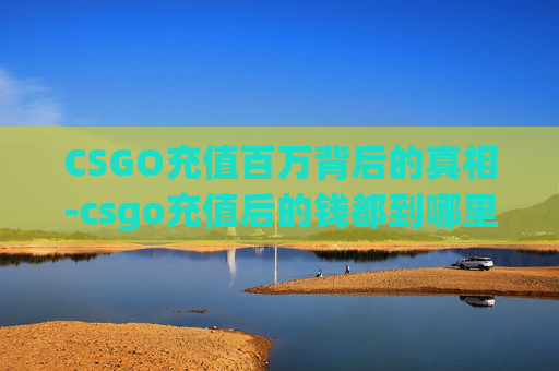 CSGO充值百万背后的真相-csgo充值后的钱都到哪里了