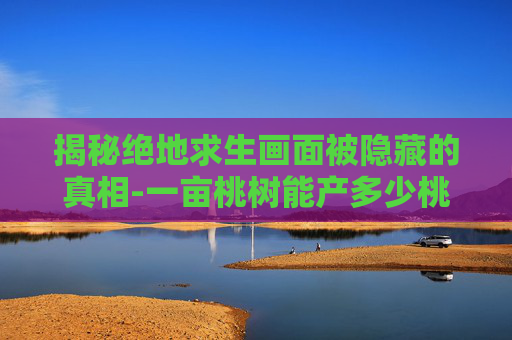 揭秘绝地求生画面被隐藏的真相-一亩桃树能产多少桃胶
