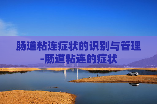 肠道粘连症状的识别与管理-肠道粘连的症状