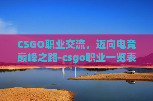CSGO职业交流，迈向电竞巅峰之路-csgo职业一览表