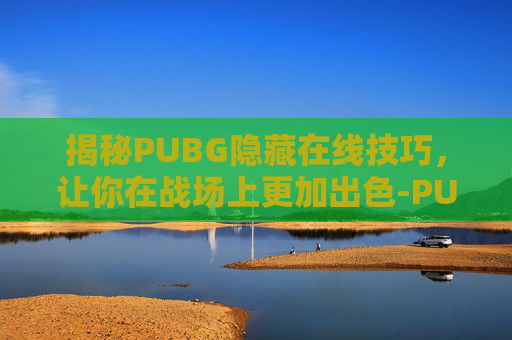 揭秘PUBG隐藏在线技巧，让你在战场上更加出色-PUBG在哪隐藏在线状态