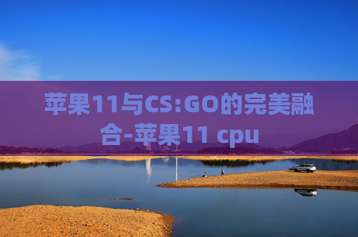 苹果11与CS:GO的完美融合-苹果11 cpu