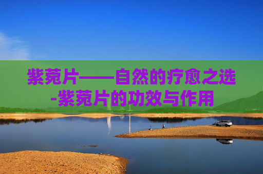紫菀片——自然的疗愈之选-紫菀片的功效与作用