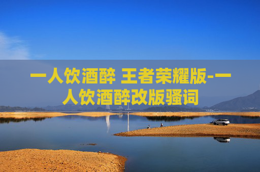 一人饮酒醉 王者荣耀版-一人饮酒醉改版骚词