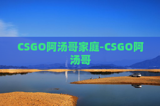 CSGO阿汤哥家庭-CSGO阿汤哥