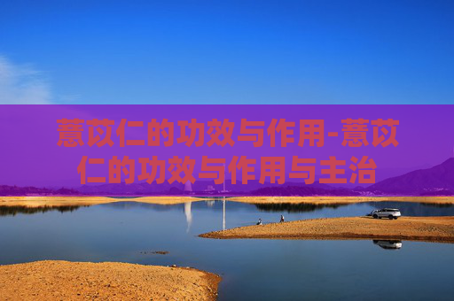薏苡仁的功效与作用-薏苡仁的功效与作用与主治