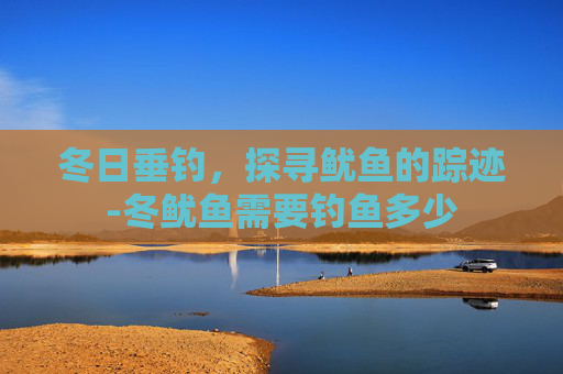 冬日垂钓，探寻鱿鱼的踪迹-冬鱿鱼需要钓鱼多少