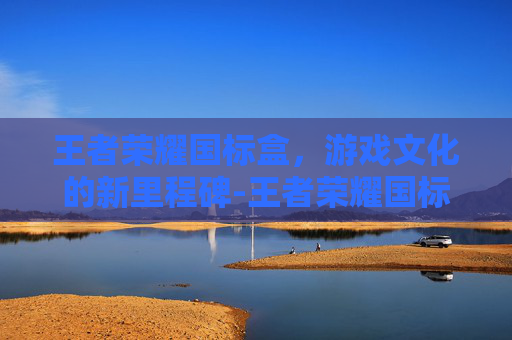 王者荣耀国标盒，游戏文化的新里程碑-王者荣耀国标盒怎么获得