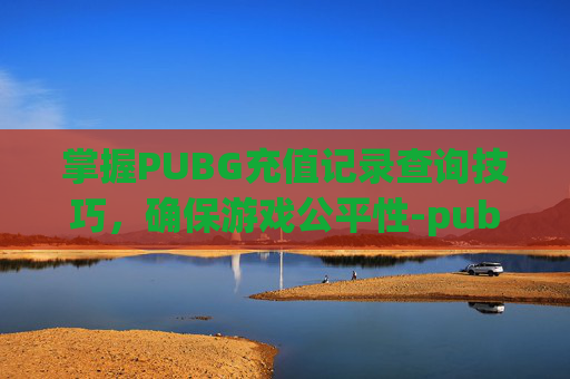 掌握PUBG充值记录查询技巧，确保游戏公平性-pubgmobile如何查找充值记录