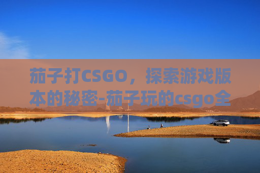 茄子打CSGO，探索游戏版本的秘密-茄子玩的csgo全名叫什么
