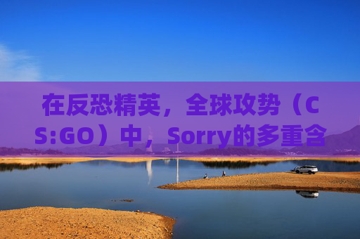 在反恐精英，全球攻势（CS:GO）中，Sorry的多重含义-