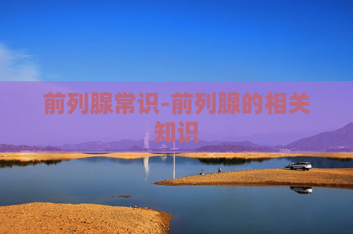 前列腺常识-前列腺的相关知识