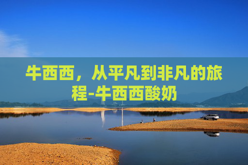 牛西西，从平凡到非凡的旅程-牛西西酸奶