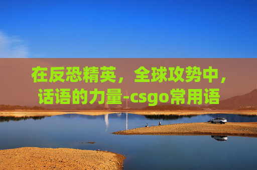 在反恐精英，全球攻势中，话语的力量-csgo常用语