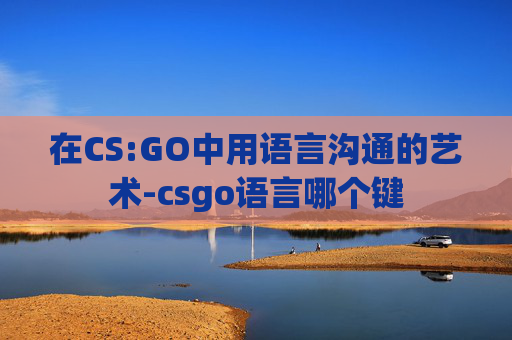 在CS:GO中用语言沟通的艺术-csgo语言哪个键