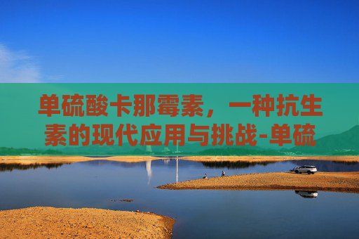 单硫酸卡那霉素，一种抗生素的现代应用与挑战-单硫酸卡那霉素可溶性粉