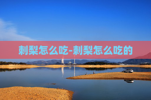 刺梨怎么吃-刺梨怎么吃的