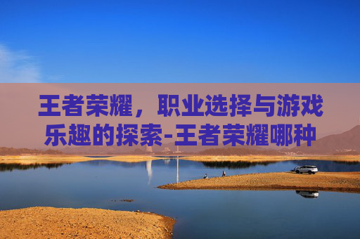 王者荣耀，职业选择与游戏乐趣的探索-王者荣耀哪种职业最强