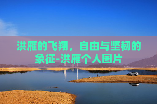 洪雁的飞翔，自由与坚韧的象征-洪雁个人图片
