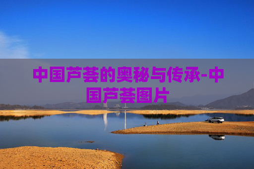 中国芦荟的奥秘与传承-中国芦荟图片