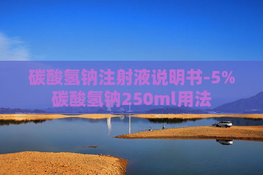碳酸氢钠注射液说明书-5%碳酸氢钠250ml用法