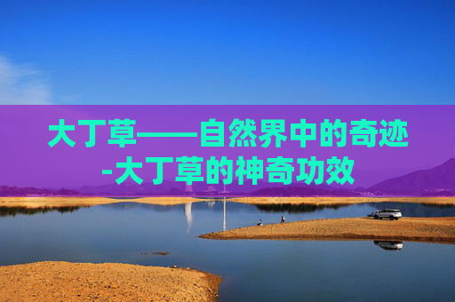 大丁草——自然界中的奇迹-大丁草的神奇功效