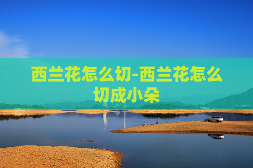 西兰花怎么切-西兰花怎么切成小朵