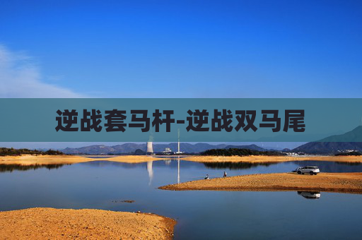 逆战套马杆-逆战双马尾
