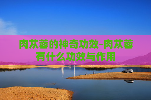 肉苁蓉的神奇功效-肉苁蓉有什么功效与作用