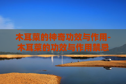 木耳菜的神奇功效与作用-木耳菜的功效与作用禁忌