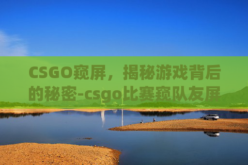 CSGO窥屏，揭秘游戏背后的秘密-csgo比赛窥队友屏穿烟违规吗