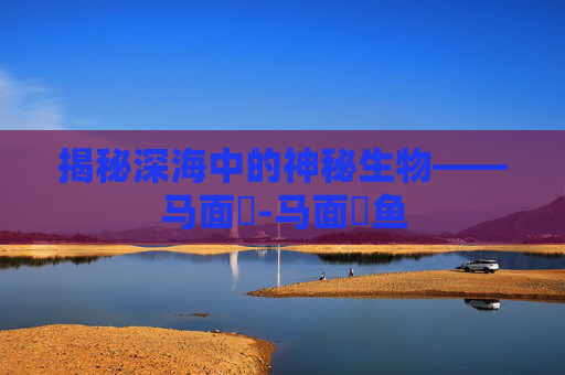 揭秘深海中的神秘生物——马面鲀-马面鲀鱼