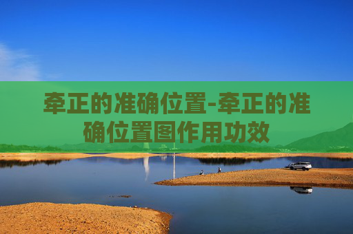 牵正的准确位置-牵正的准确位置图作用功效