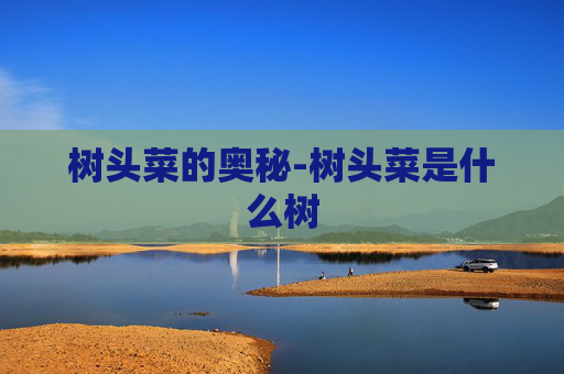 树头菜的奥秘-树头菜是什么树