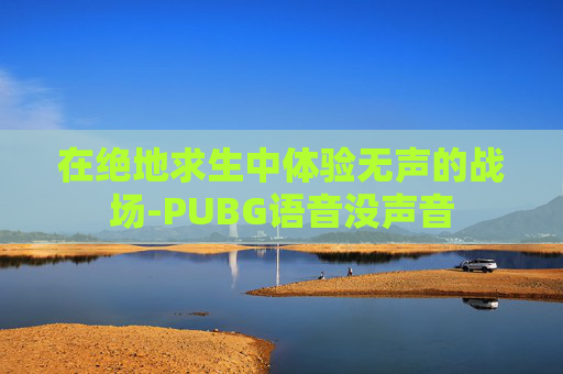 在绝地求生中体验无声的战场-PUBG语音没声音