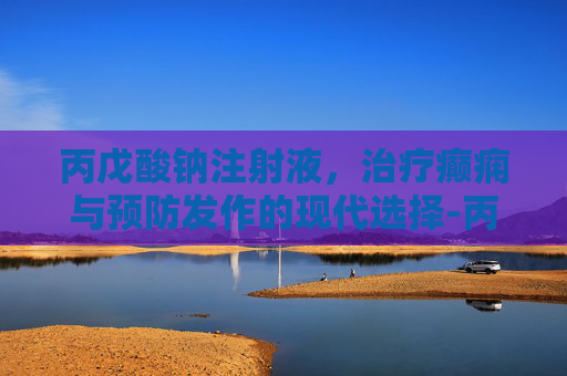 丙戊酸钠注射液，治疗癫痫与预防发作的现代选择-丙戊酸钠注射用与功效