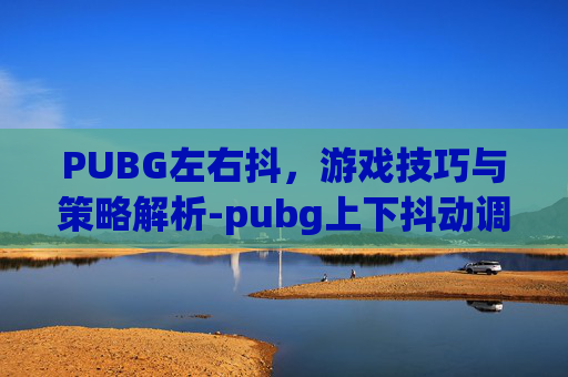 PUBG左右抖，游戏技巧与策略解析-pubg上下抖动调什么