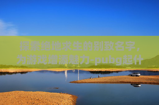 探索绝地求生的别致名字，为游戏增添魅力-pubg起什么名字好