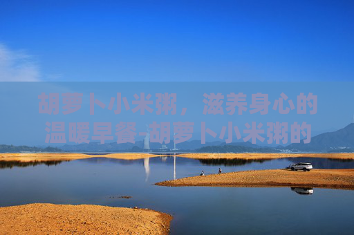 胡萝卜小米粥，滋养身心的温暖早餐-胡萝卜小米粥的功效